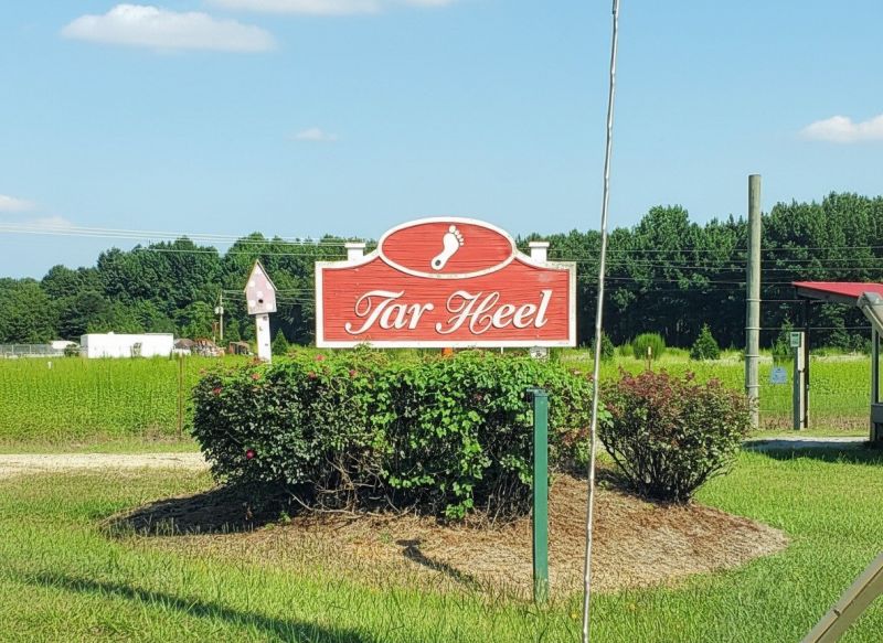 Best Siding Repair pros in Advance, NC